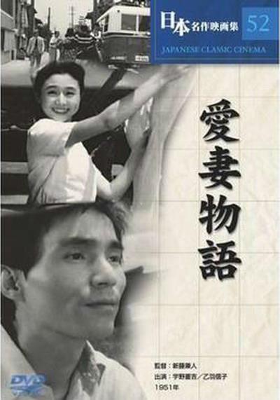 爱妻物语,一段跨越时空的深情守候