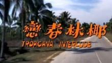 椰林春恋,热带风情下的浪漫邂逅